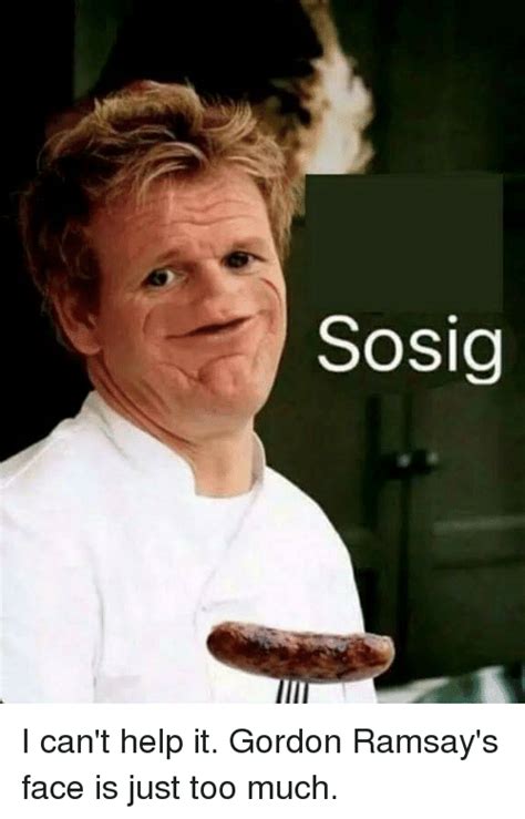 gordon ramsay memes|gordon ramsay memes sosig.